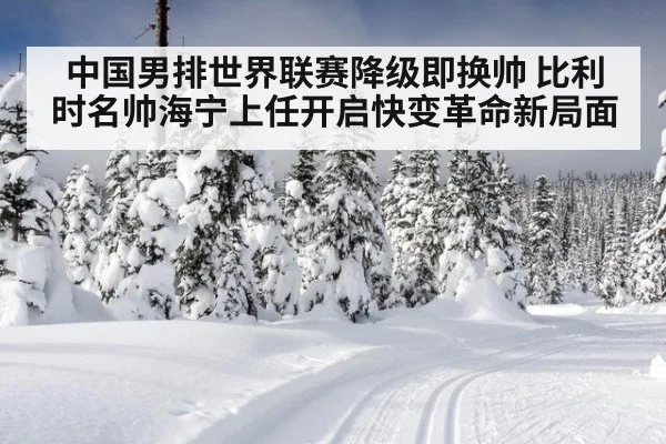 中国男排世界联赛降级即换帅 比利时名帅海宁上任开启快变革命新局面